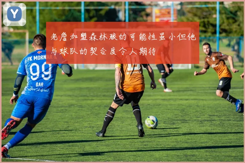 老詹加盟森林狼的可能性虽小但他与球队的契合度令人期待