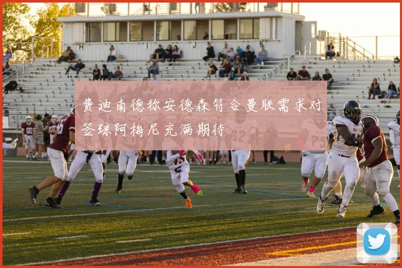 费迪南德称安德森符合曼联需求对签琼阿梅尼充满期待