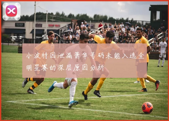小波特因泄漏萧华号码未能入选全明星赛的深层原因分析