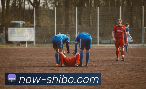 App 展示图